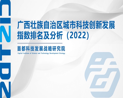 美女小穴视频【成果发布】广西壮族自治区城市科技创新发展指数排名及分析（2022）